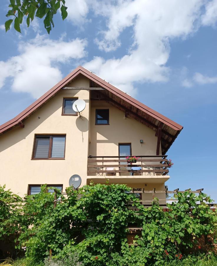 Ferienwohnung Wynajem Pokoi Wiki Mikołajki Exterior foto